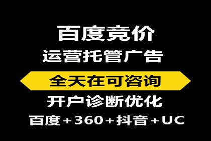 百度SEO推广策略深度解读：某企业网络营销的胜利之路